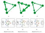 Performance Analysis of Everton Football Club Based on Tracking Data